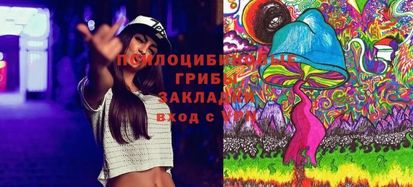 соль курить ск Белокуриха